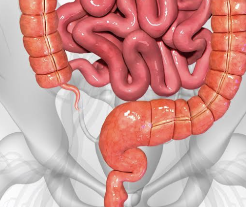 참을 수 없는 극심한 복통과 복부 팽만감이 나타날 때 장천공 원인 및 증상 검사 진단 치료 ....