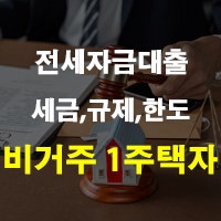 비거주 1주택자 전세대출 및 보유세 양도세 종부세 세금 규제 청약 한도 자금 뜻 정리