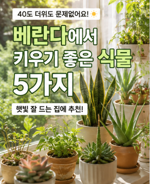 햇빛 잘 드는 베란다에서 키우기 좋은 식물 5가지｜40도 더위도 버텨주는 식물 추천
