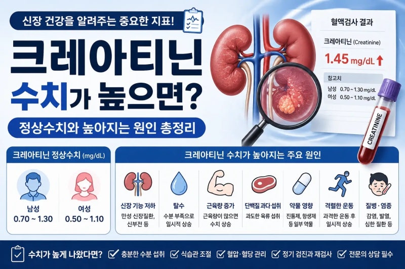 크레아티닌 수치가 높으면? 정상수치와 높아지는 원인 총정리