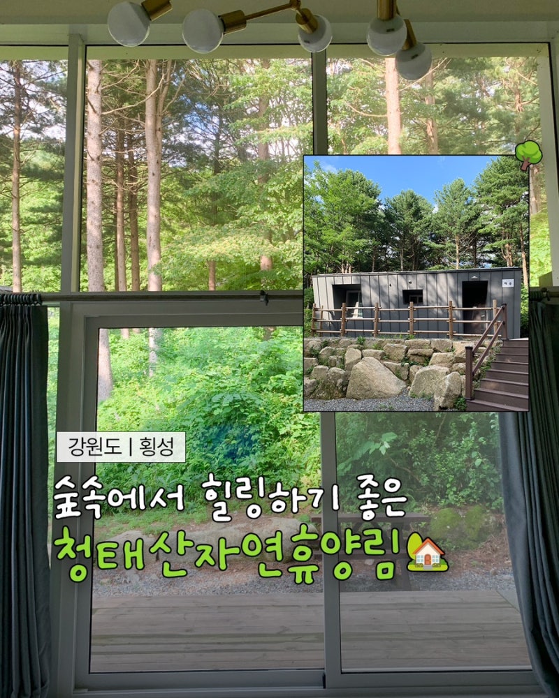 [횡성 숙소] 국립청태산자연휴양림 l 숲속의집 l 휴양관 l 예약방법 l 객실 내부 l 여름휴가 다....