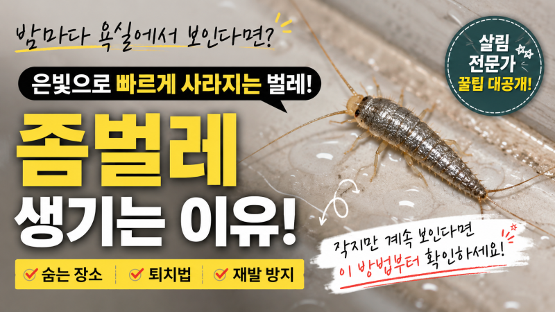 옷장 속 불청객 좀벌레 완전 정복!! 냄새 나는 방충제 대신 삼나무와 라벤더로 끝내는 법~