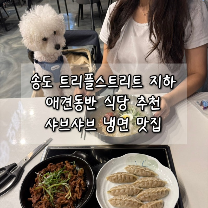 송도 트리플스트리트 애견동반 식당 추천ㅣ오름채ㅣ샤브 스키여키 편백찜 냉면 맛집