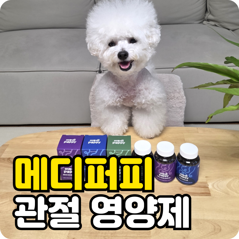 강아지 슬개골 관리엔 메디퍼피 강아지 관절영양제 추천