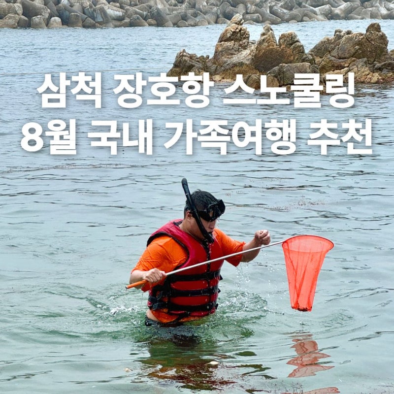 삼척 장호항 스노쿨링 후기 8월 국내 가족 여행 추천!