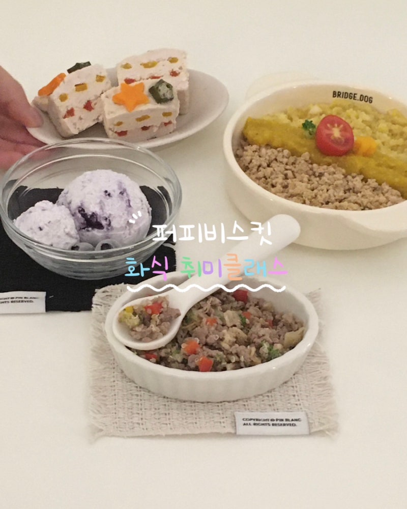 대구 강아지 화식 클래스 | 화식 만들기 취미반
