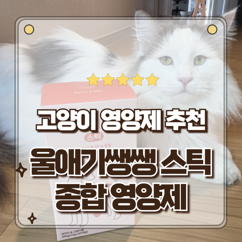 입맛까다로운 냥이도 반한 올인원케어 고양이간식 울애기쌩쌩 스틱