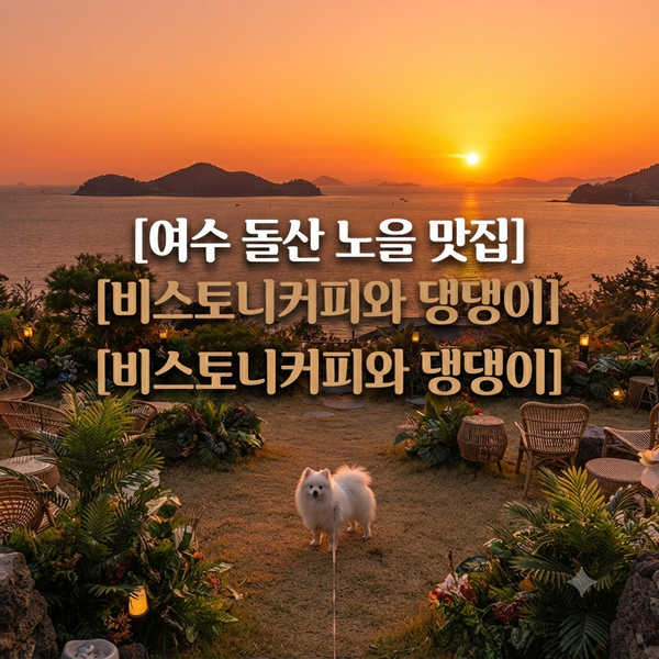 여수 노을 명소 애견동반 카페 베스트 3! 직접 가보고 뽑았어요