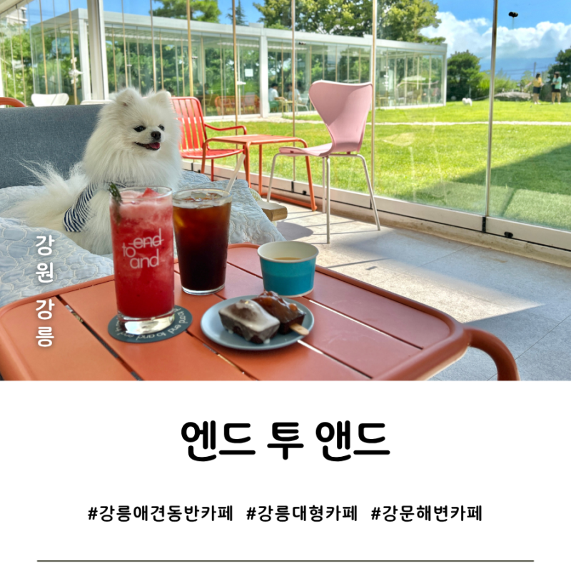 [강원 강릉] 강문해변 근처 넓은 잔디 애견동반 대형카페 추천, 엔드투앤드(대형견 OK)