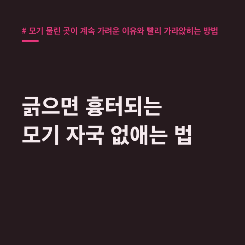 모기 물린 곳 계속 가려운 이유! 흉터·색소침착 없애는 법