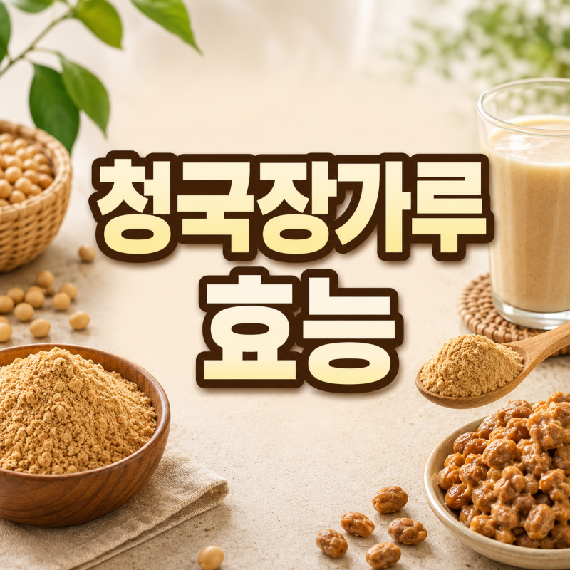 청국장가루 효능과 먹는 방법, 다이어트할 때 주의할 점은?