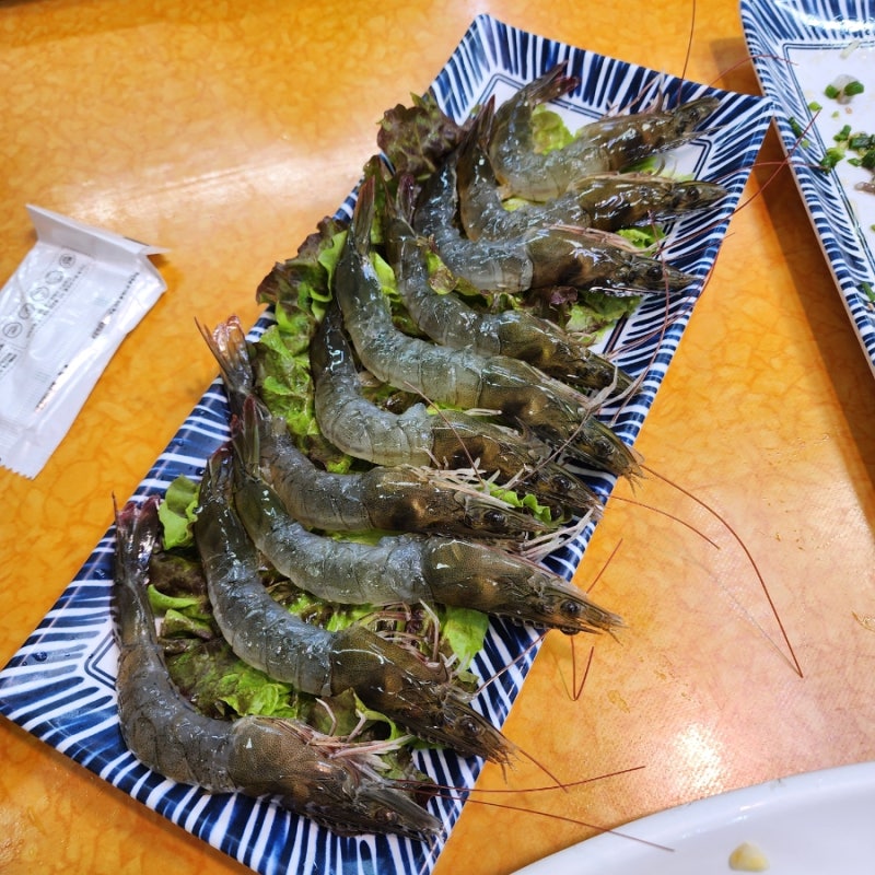 [부산 여행] 바다 향 가득! 부산 자갈치시장 회센터 솔직 방문 후기 ✨