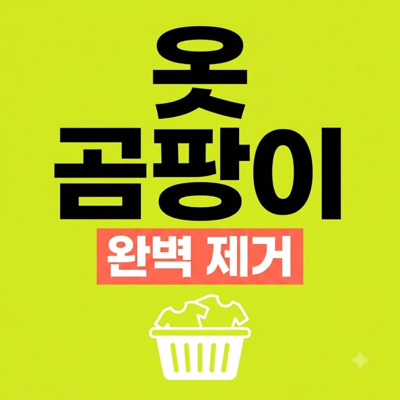 옷에 곰팡이 생겼을 때 제거 방법! 얼룩과 냄새 완벽 해결 꿀팁