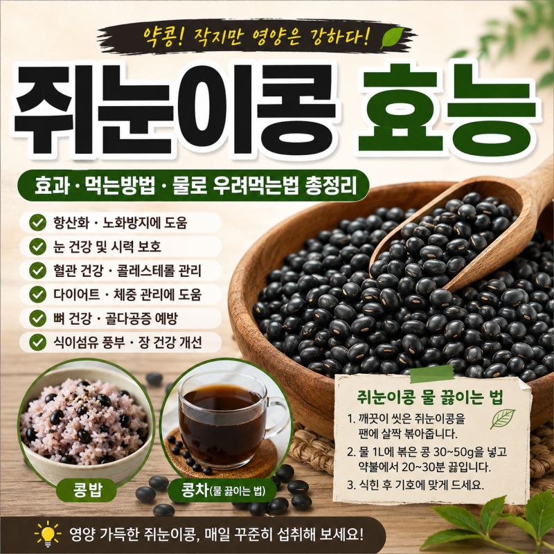 쥐눈이콩 효능과 먹는법｜약콩 효과·부작용·쥐눈이콩 물 끓이는법 총정리