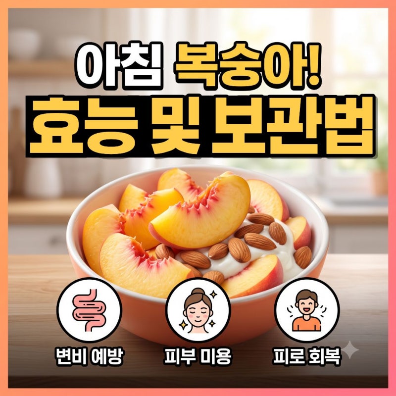 아침 복숭아 효능 부작용! 백도 황도 천도 칼로리 및 보관법 총정리