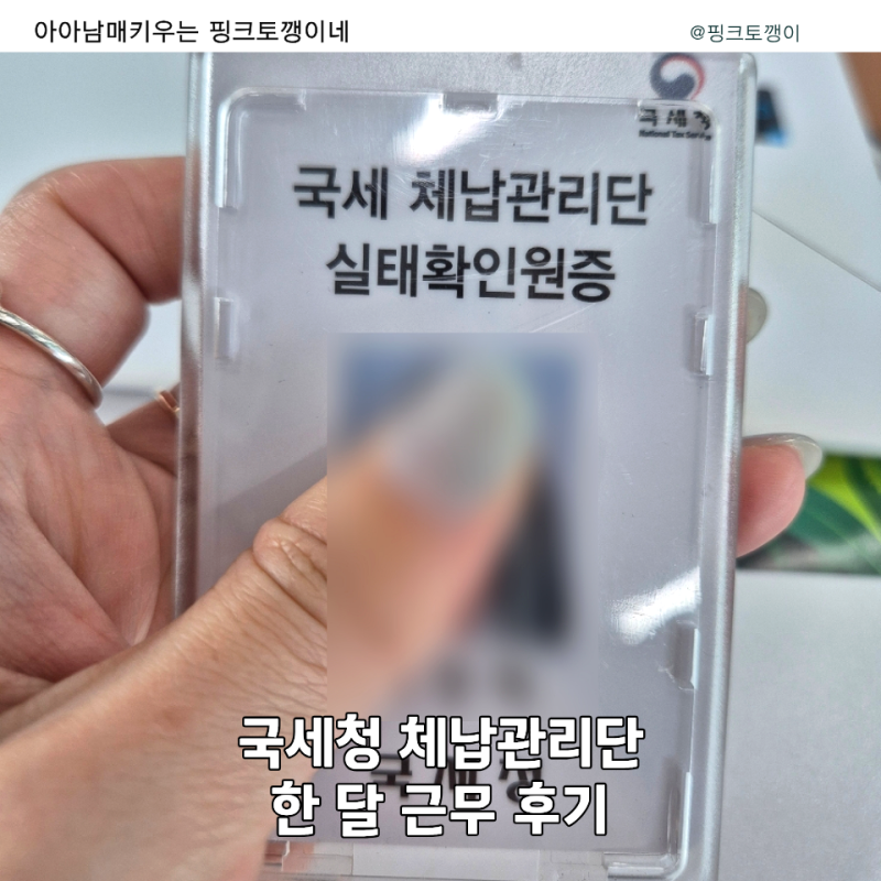 국세청 국세 체납관리단 방문 실태조사원 근무 후기｜한 달 일해보니 솔직한 장단점