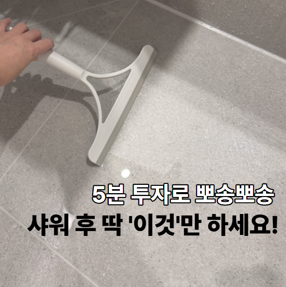 당신의 화장실이 안 마르는 이유 | 여름철 욕실 습기 제거 & 천연 곰팡이 제거제 만드는 방법....