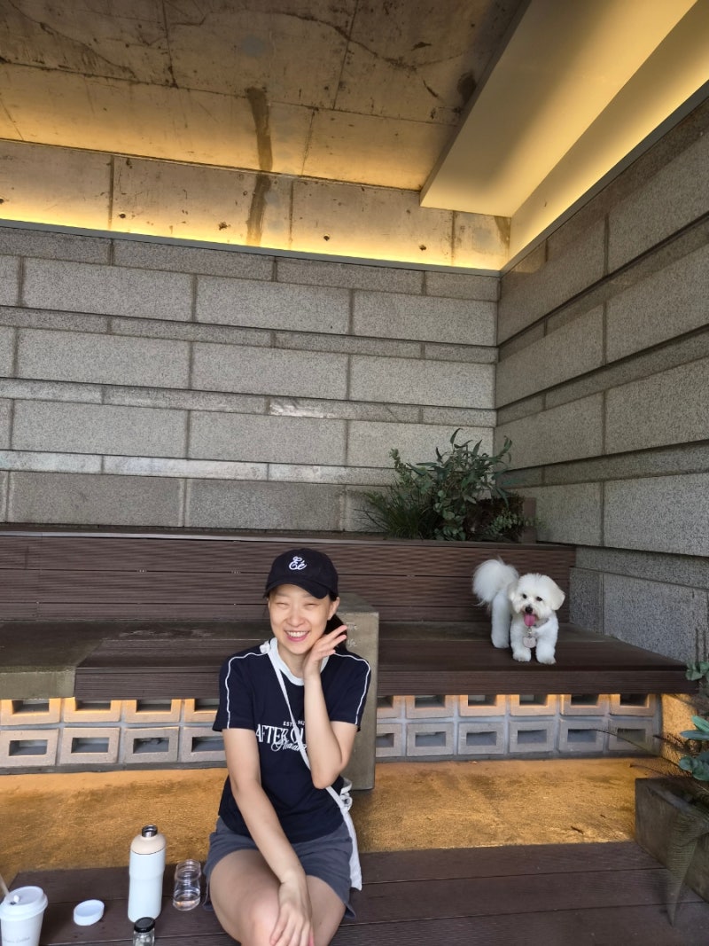 타워팰리스 근처 애견동반 가능 카페 정리, 브라이언스, 키퍼스마켓, 아티제
