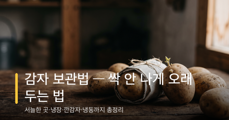 감자 보관법 — 싹 안 나게 오래 두는 법, 깐감자·냉동까지 총정리