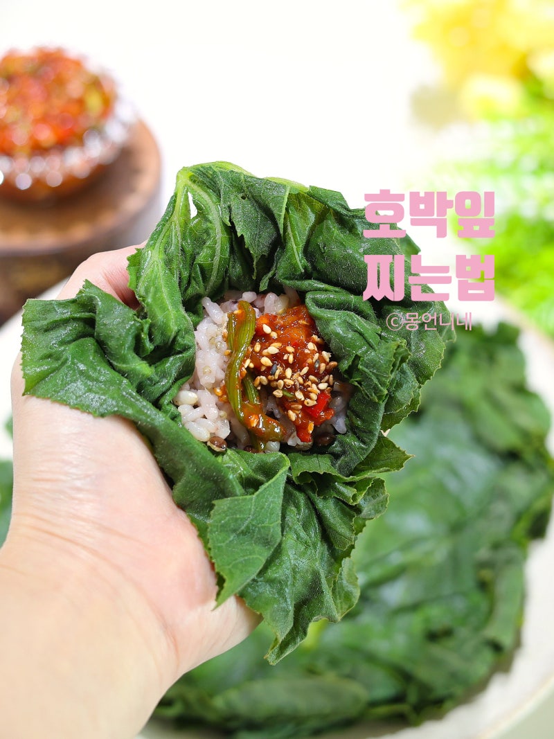 호박잎 찌는법 찌는 시간 간단 양념장
