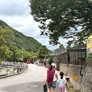 [경북.봉화] 봉화 여행 맛집 추천｜봉화객주 화덕피자 먹고 비진숲 카페까지