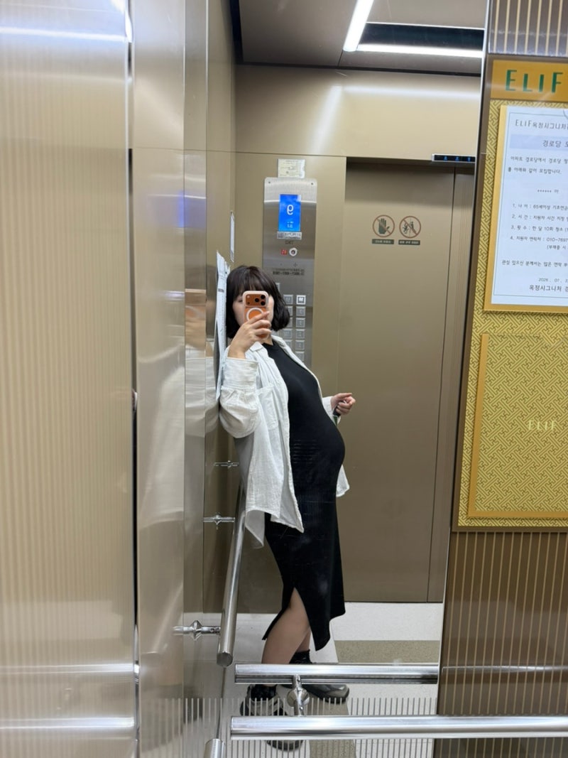 [임신기록]20주~30주 13kg 증가한 현실 임산부 일상룩 / 출근룩 / 휴양지룩