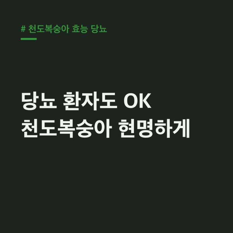 천도복숭아 효능 당뇨, 6월 제철 즐기는 섭취 가이드