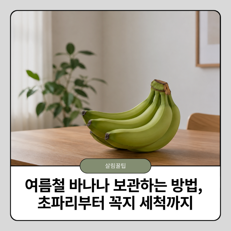 여름철 바나나 오래 보관하는 방법, 초파리부터 꼭지 세척까지