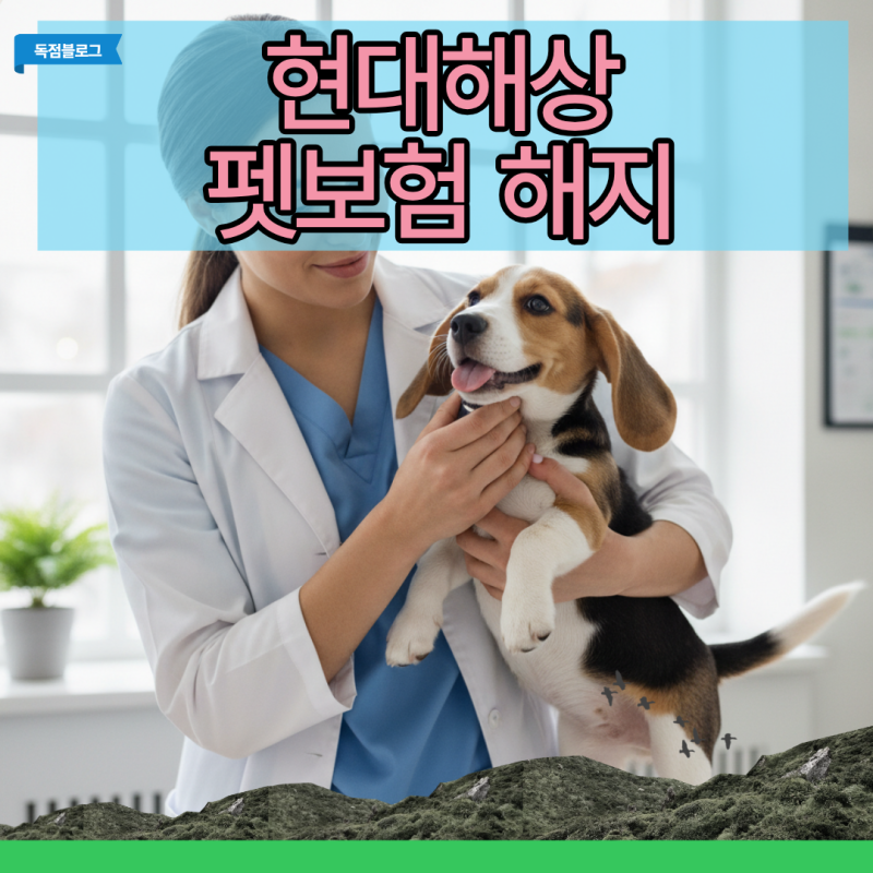 현대해상 펫보험 해지 불이익 피하는 절차와 해약환급금 진실