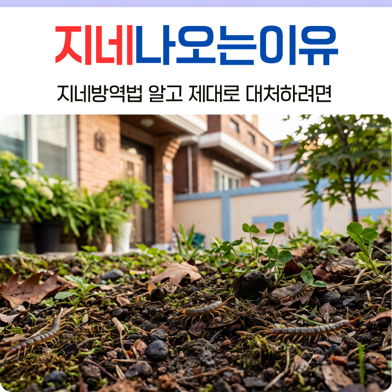 울산방역업체에서 지네나오는이유와 퇴치하는법