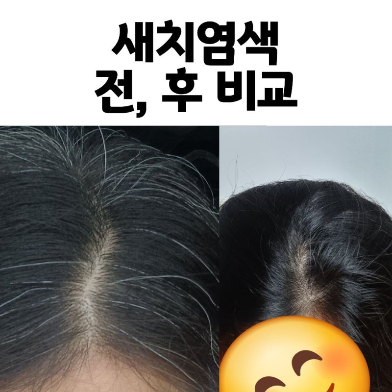 제니하우스 모카브라운 셀프염색 후기 (feat.씨드비 물염색)