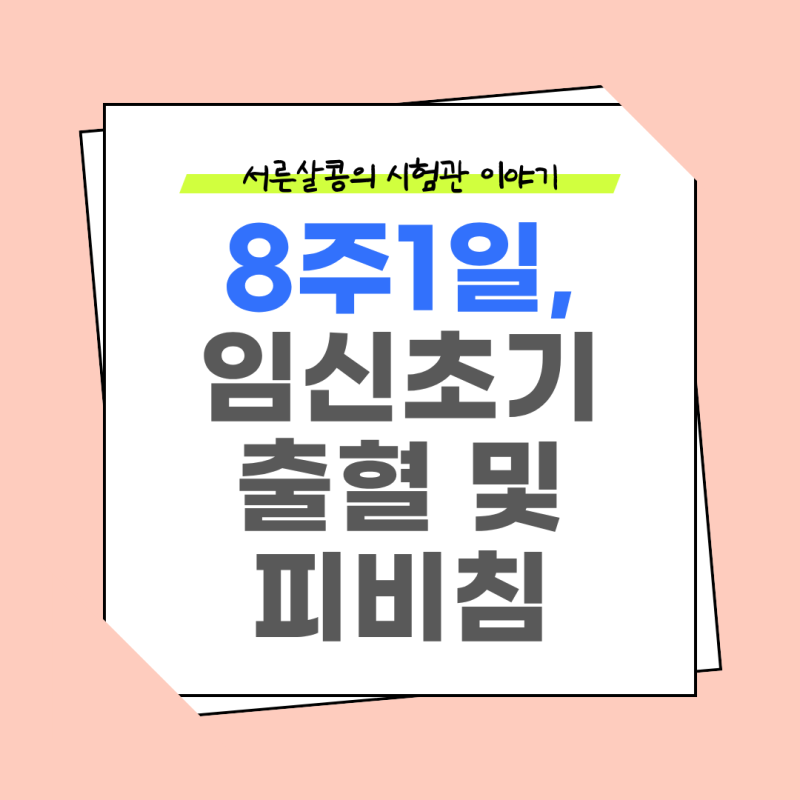 [8주1일] 시험관 임신 초기 피비침 이슈, 괜찮은 걸까? 임신 초기 갈색혈 vs 선홍색혈 피비침 ....