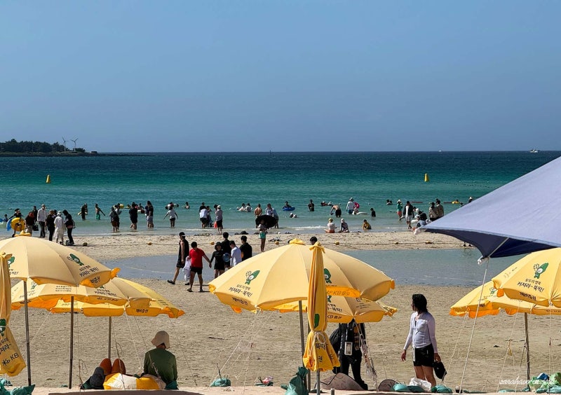 제주 협재해수욕장 샤워 카페 대여 야간개장 제주도 물놀이