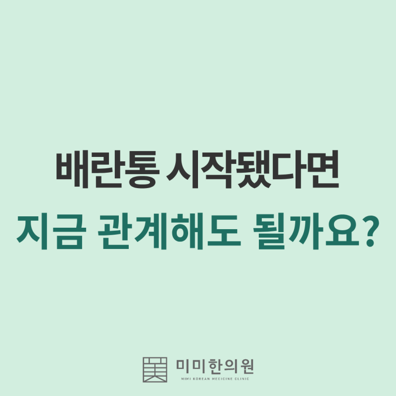 배란통 심할 때 임신 가능성은? 배란일 임신 확률 알아보기