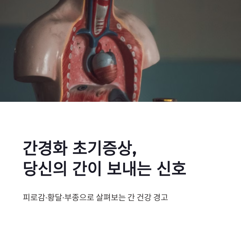 간경화 초기증상 피로감 황달 부종으로 살펴보는 간 건강 신호