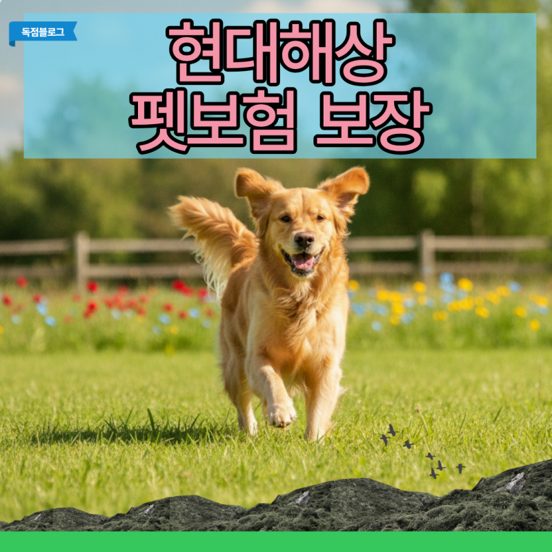 현대해상 펫보험 보장 범위와 청구 전 파악할 반전 수치 3가지