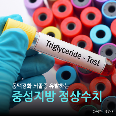 뇌졸중 야기하는 중성지방 정상수치 낮추는법ㅣLDL 비교