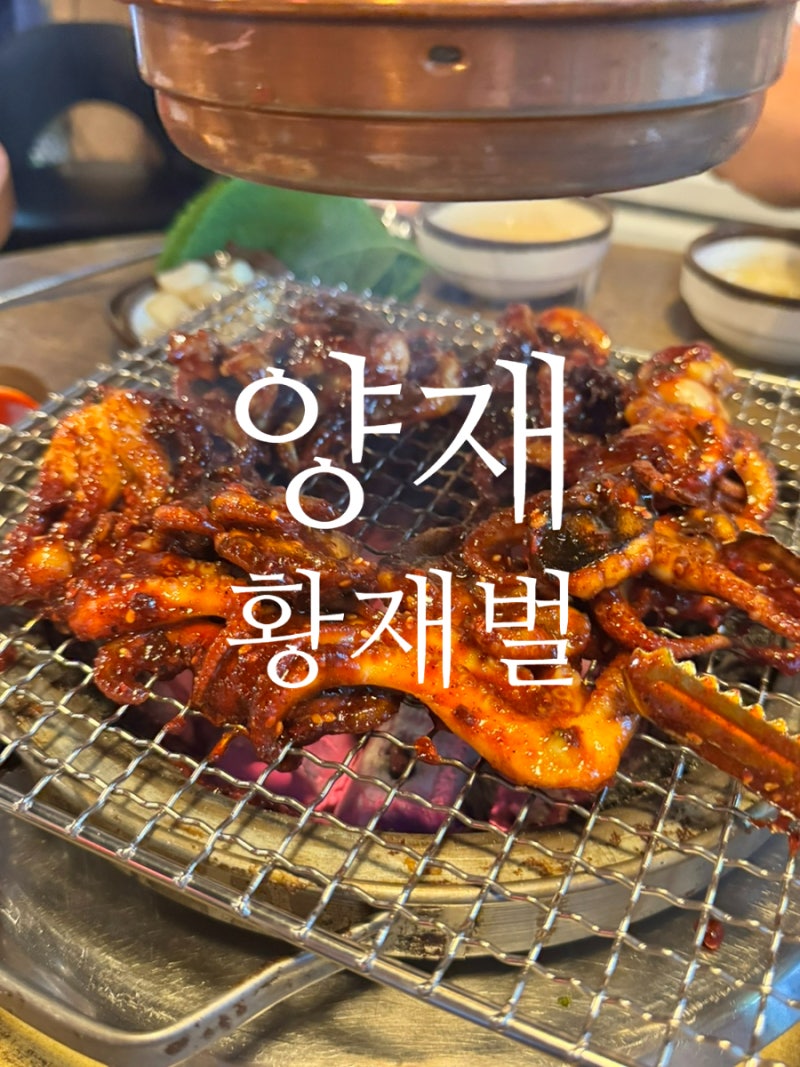 양재 황재벌 쭈꾸미 주말 한 시간 웨이팅 후기, 꿀팁,주차정리