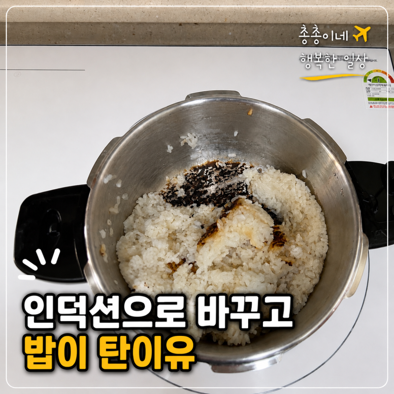 압력밥솥 8년 사용했는데, 인덕션으로 바꾸고 밥이 탄 이유/풍년 비엔나IH 밥하는법