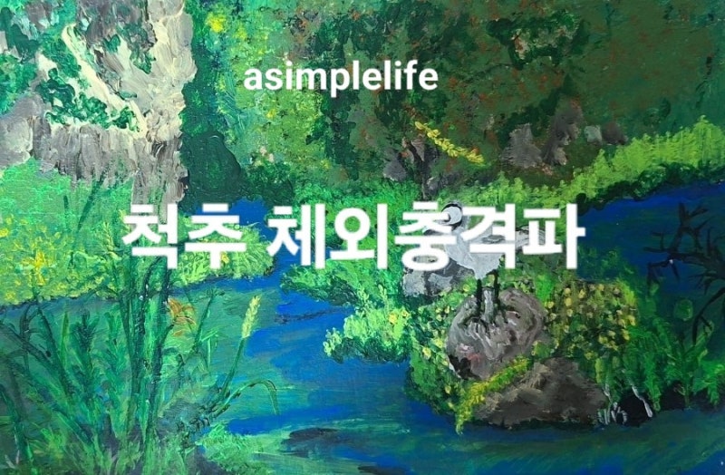 척추 체외충격파 치료, 정말 효과 있을까? 비용과 치료 주기