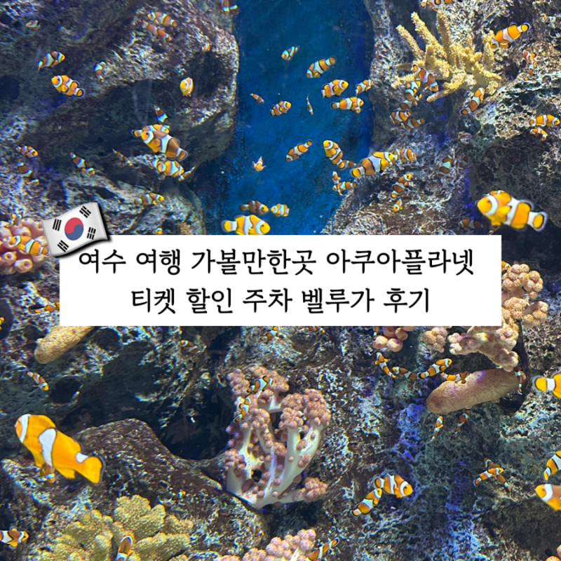 여수 여행 가볼만한곳 아쿠아플라넷 티켓 할인 주차 벨루가 후기