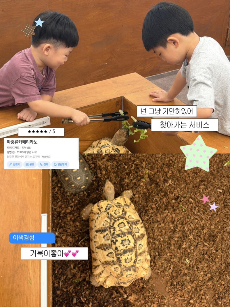 창원 파충류샵- 아이와 이색경험으로 파충류에 입문하기