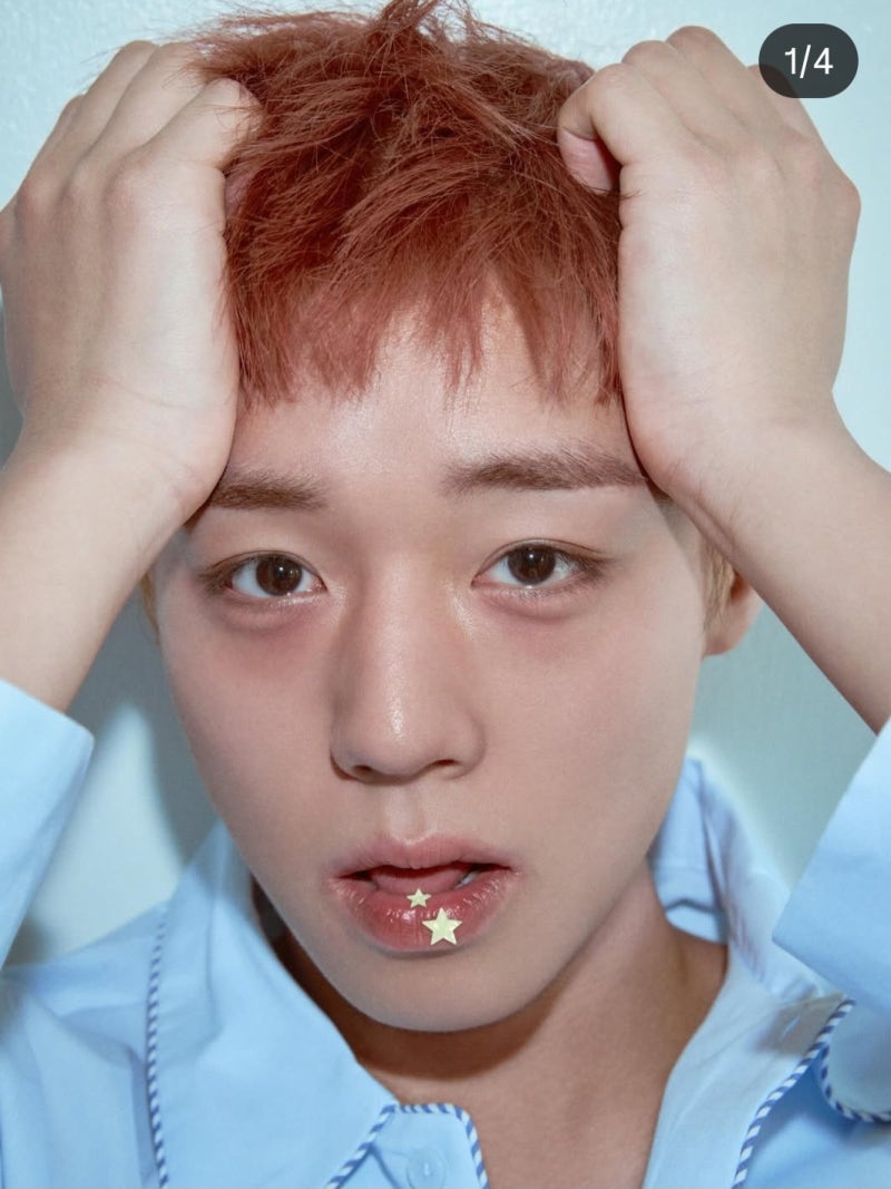 박지훈 전소영 케미와 취사병 왕사남 등 작품정보