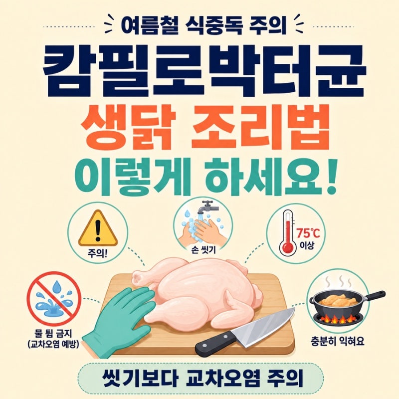 캄필로박터균 장염 증상과 예방법｜생닭 씻으면 안 되는 이유와 올바른 조리법