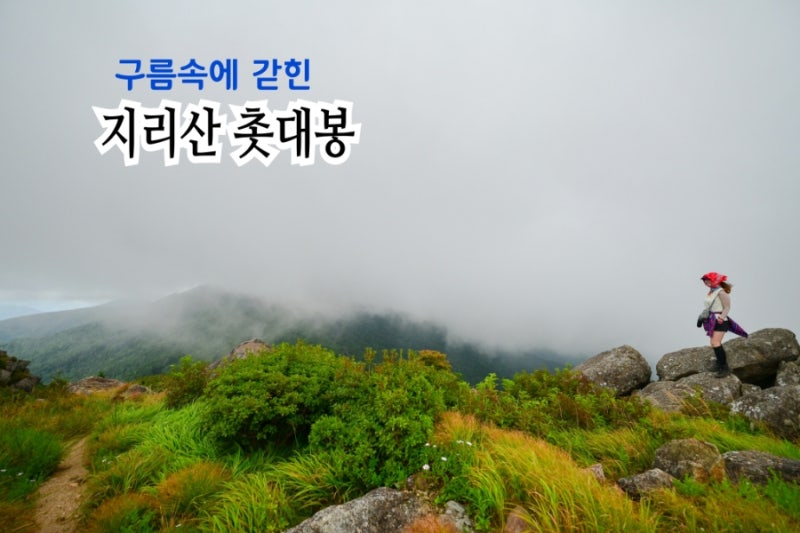 4년 만에 다시 지리산 등산. 백무동 한신계곡-세석산장 1박-장터목 산장-백무동 하산(안개비,....