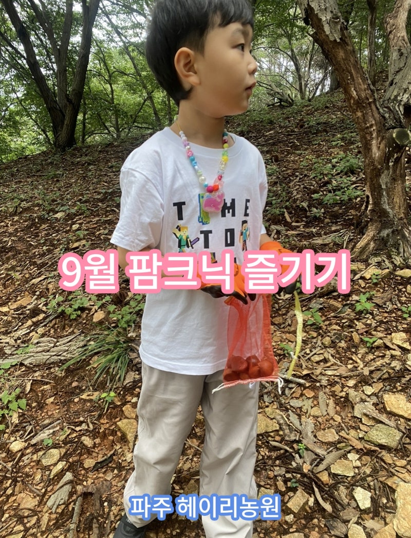 헤이리농원 팜크닉 :: 파주 밤따기 체험 가족나들이 후기