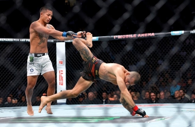 UFC 331 판토자 vs 조슈아 반 전력 분석, 팔꿈치 회복 상태
