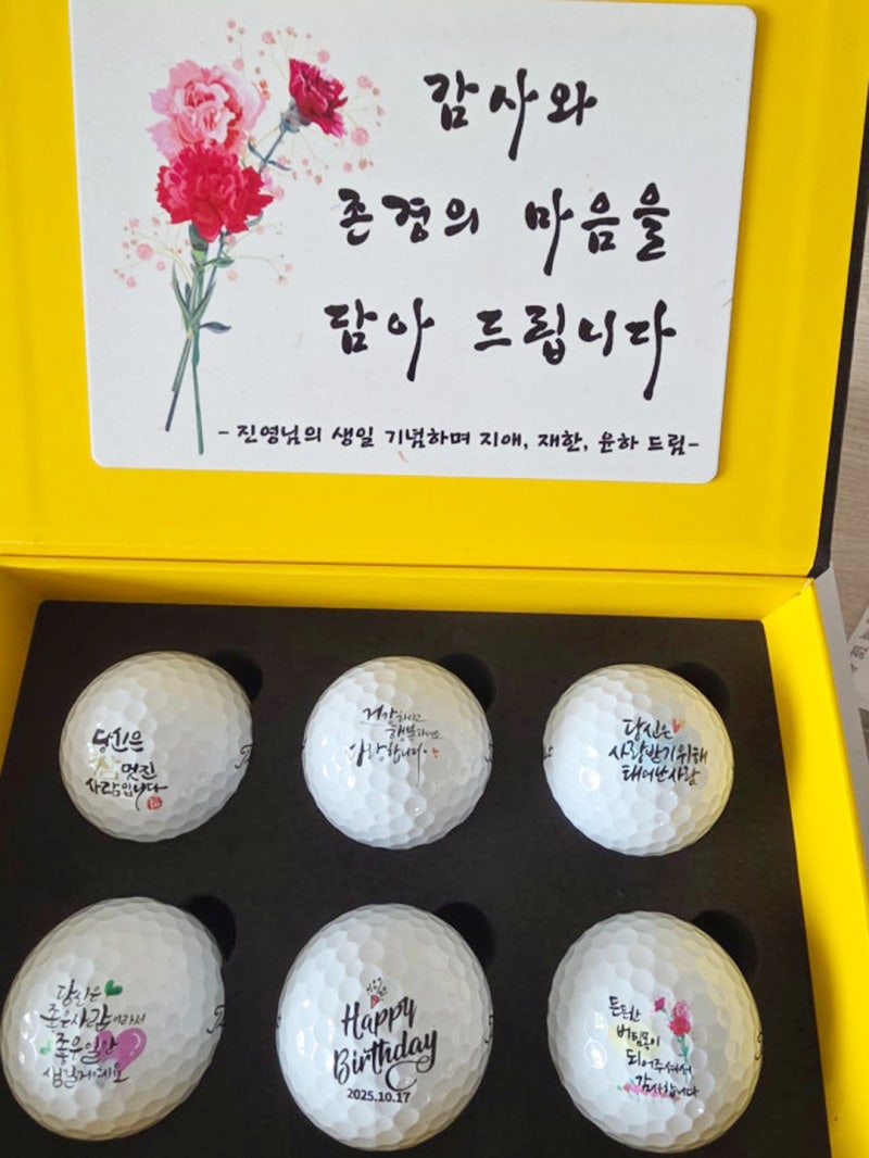 타이틀리스트골프공 Pro V1 V1x 선택 기준과 개당 가격, 나에게 맞는 모델과 네이버 최저가 구....