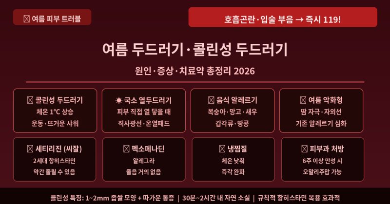 여름 두드러기·열두드러기(콜린성) 원인·증상·치료법 총정리