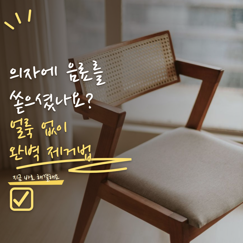 패브릭 의자에 음료 쏟았을 때 '이 행동' 절대 금지! 얼룩 안 남는 응급처치 4가지